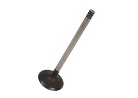 Válvula Para Escape - OEM