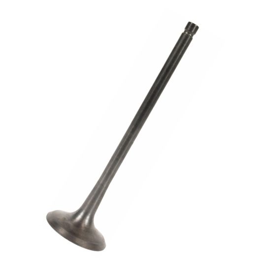 ford-partes-originales-valvula-para-escape-oem-lincoln-nautilus-2019-2023-nautilus-l4-2-0l-0