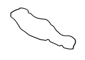 Junta De Cárter De Transmisión Lateral - OEM