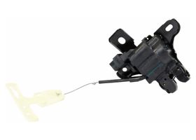 Chapa De Tapa De Cajuela - OEM