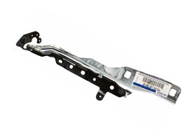 Bisagra Para Cofre Lado Pasajero - OEM