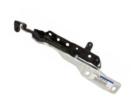 Bisagra Para Cofre Lado Conductor - OEM