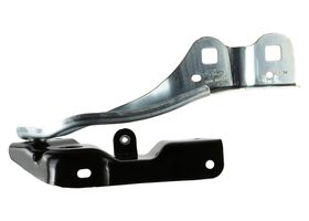 Bisagra Para Cofre Lado Conductor - OEM