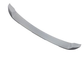 Moldura De Defensa Delantera - OEM