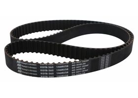 Banda Distribución O Tiempo