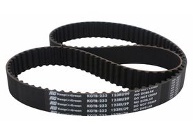 Banda Distribución O Tiempo