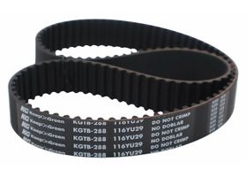 Banda Distribución O Tiempo