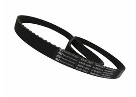 Banda Distribución O Tiempo