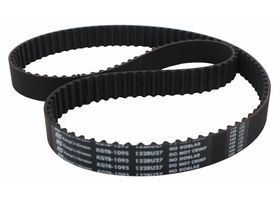 Banda Distribución O Tiempo