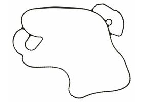 Junta De Bomba De Agua - OEM