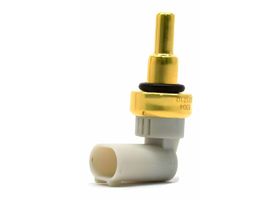 Sensor De Temperatura Del Refrigerante (CTS)