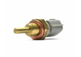 Sensor De Temperatura Del Refrigerante (CTS)