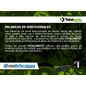 Texto-de-linea