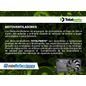 Texto-de-linea