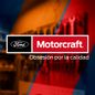 Identidad-de-marca