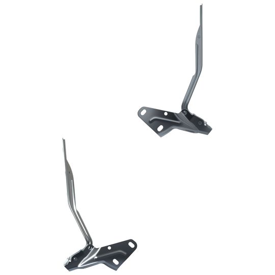 tong-yang-par-de-bisagras-cofre-dodge-ram-2010-ram-2500-0
