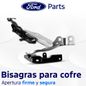 Texto-de-linea