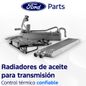 Texto-de-linea