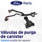 Texto-de-linea