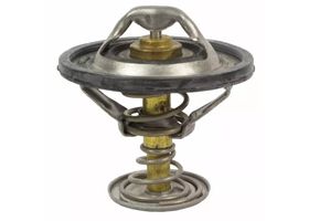 Termostato - OEM