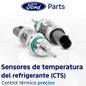 Texto-de-linea