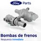 Texto-de-linea