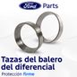 Texto-de-linea