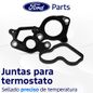 Texto-de-linea