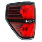 2456357-calavera-ford-pu-09-13-filo-negro-s-arnes-tyc-izq