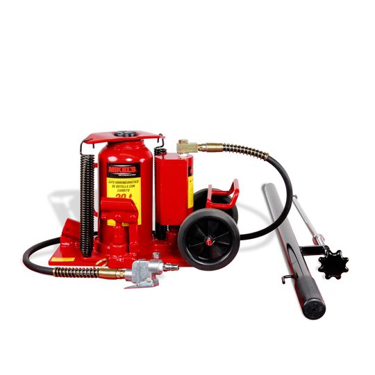 2884835-gato-hidroneum 2884835-gato-hidroneum