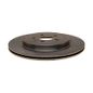 3239044-disco-trasero-ventilado