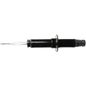 2504520-struts-oespectrum