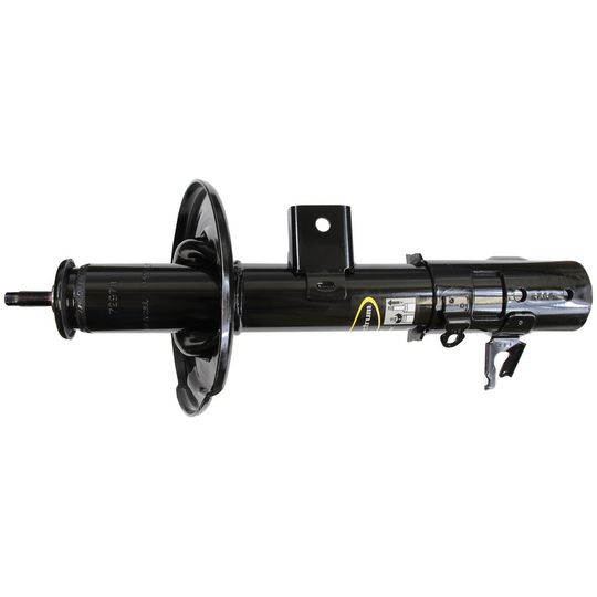 2504538-struts-oespectrum