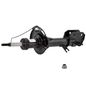 3248450-struts-oespectrum