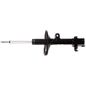 3251466-oespectrum-strut