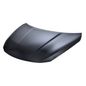 2372397-cofre-ns-altima-16-17-lamina