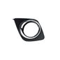 2185468-rejilla-fascia-ty-rav-4-09-10-der
