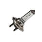 2141609-foco-universal-h7-12v-55w-px26d