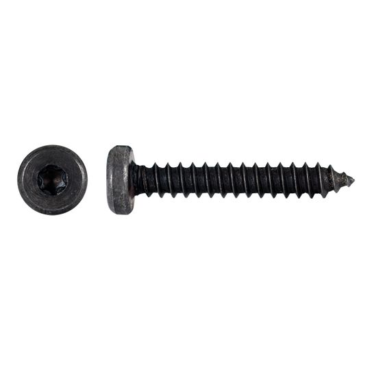 2143301-pija-cabeza-plana-torx-4-2-1-41x25-mm-negro-usa-50p