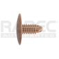 2465927-retenedor-interiores-universal-beige-7mm-usa