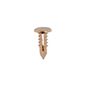 2266016-retenedor-univ-beige-cab-13mm-diam-5mm-largo-21mm