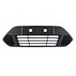 2185407-rejilla-fascia-delantera-fd-ikon-11-12