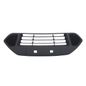 1863835-rejilla-fascia-fd-fiesta-ikon-11-14-central