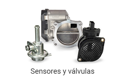 categoria8