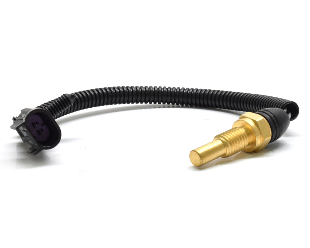 Sensor De Temperatura Del Refrigerante (Cts)