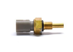 Sensor De Temperatura Del Refrigerante (Cts)