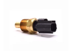 Sensor De Temperatura Del Refrigerante (Cts)