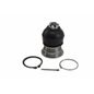 producto-1744245