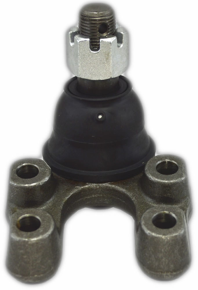 Rotula Inferior