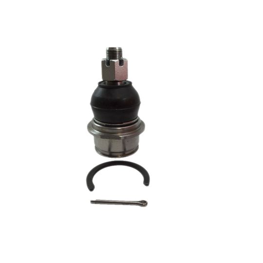 producto-1744355